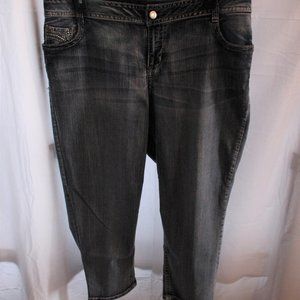 Lane Bryant Embellished Jeans